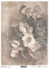 Papel Decoupage Soft S0270